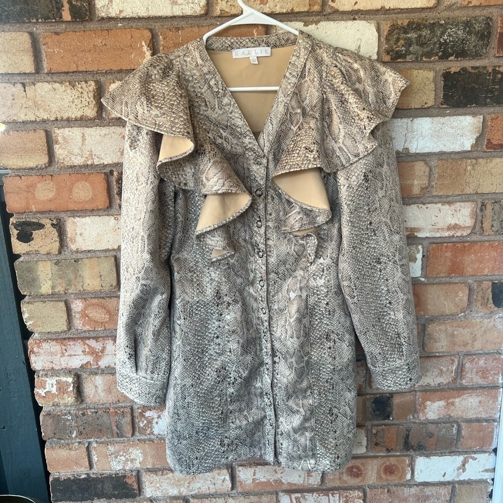 Karlie Ruffle Python Print Snap Front Dress - Picture 9 of 10